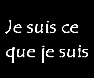 je t emerde